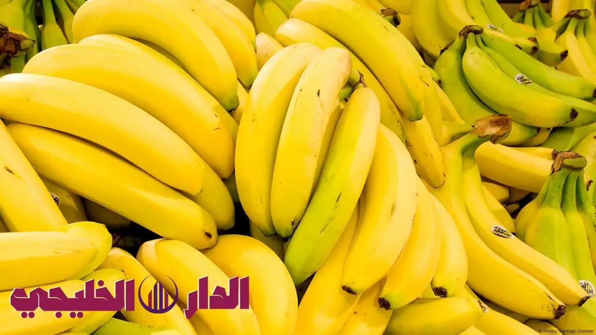     أضرار الموز للجسم.. حقائق صادمة لم تكن تعرفها من قبل 