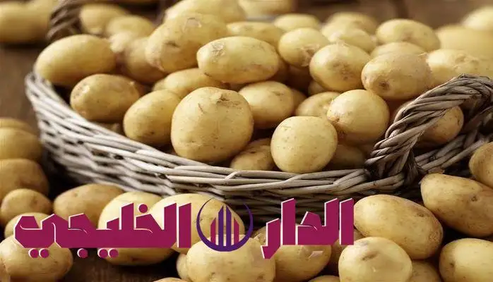     تؤدي للوفاة.. علامات تكشف أن البطاطس الفاسدة والخطرة على صحتك 