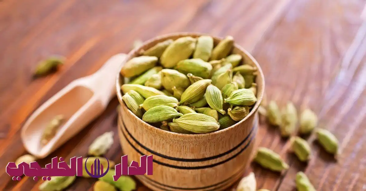     الحبهان.. سر طبيعي للتخلص من الكرش وحرق دهون البطن 