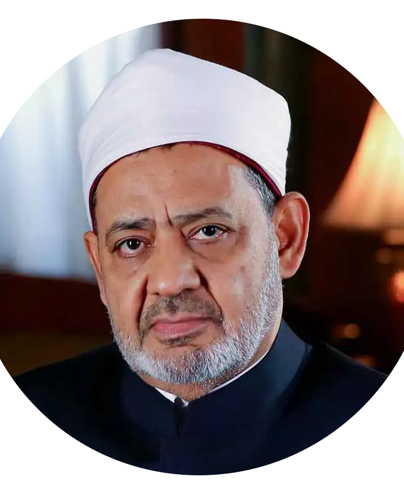     ارشيفية 