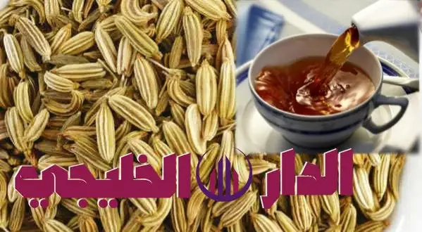     دليل علمي شامل للفوائد الصحية عن الشمر وتأثيره على الهرمونات 