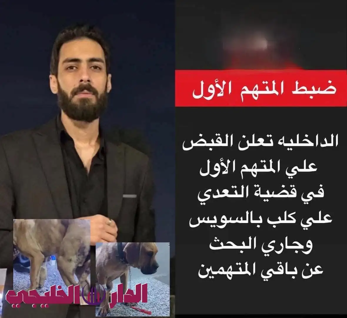     الكلب الضحية 