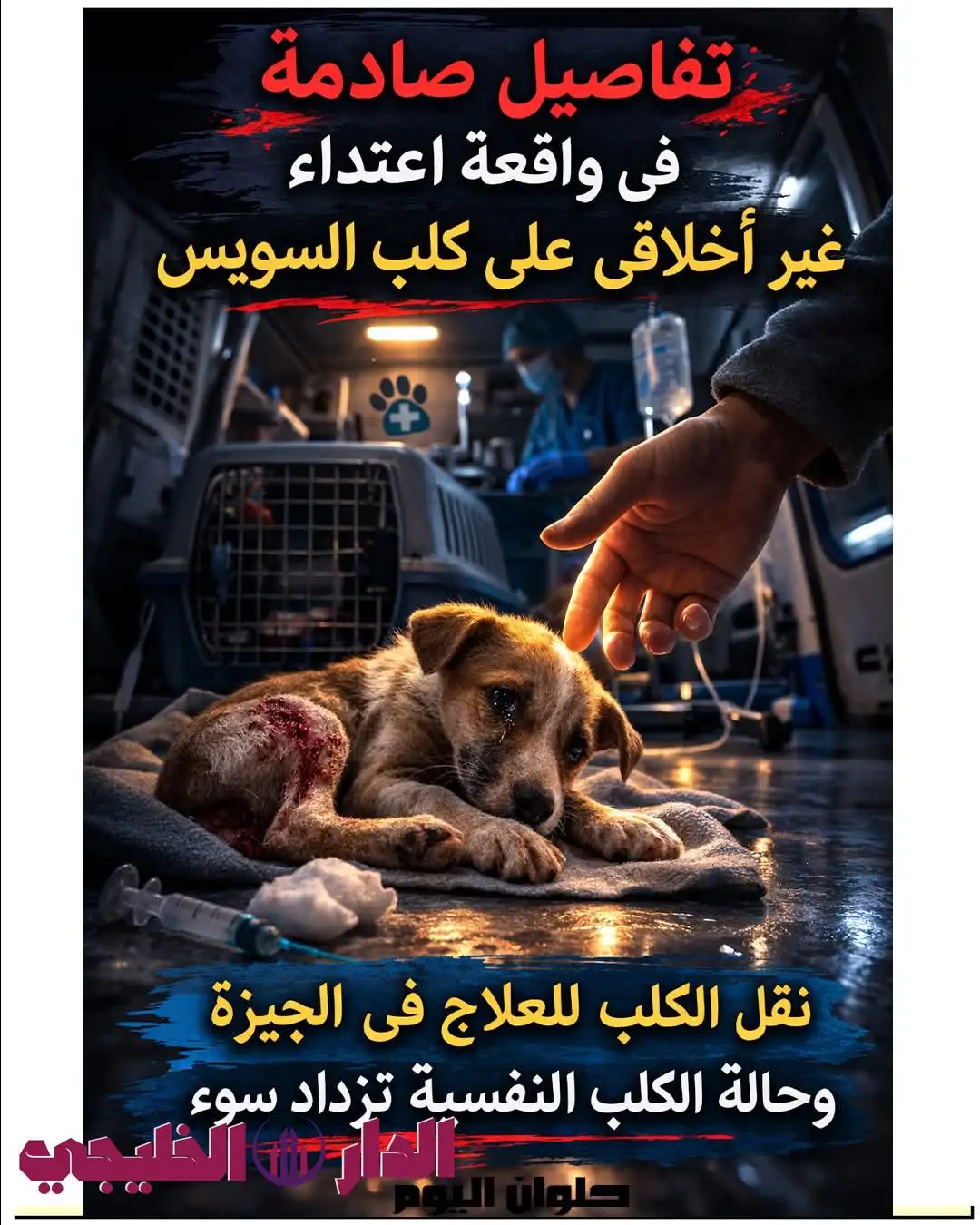     اعتداء غير اخلاقى على كلب السويس 