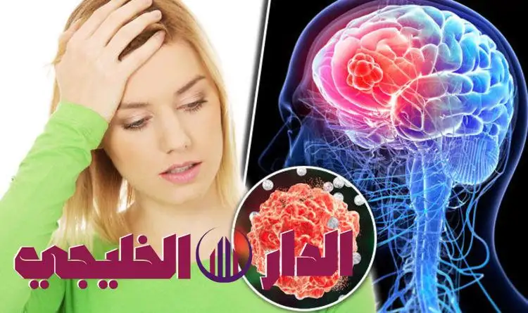     اكتشاف مذهل: كيف يتحكم كوليسترول الدماغ في قدرتك على التذكر والت 