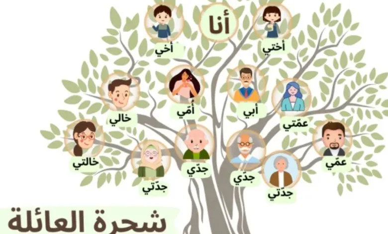   “أعرف قبيلتك الأصلية بضغطة زر واحدة”… كنز تاريخي يكشف لك شجرة عائلتك بأكملها ويصل لجدك الـ 100 بطريقة صحيحة وموثقة؛ شاهد الحقيقة التي أخفاها الزمن !!