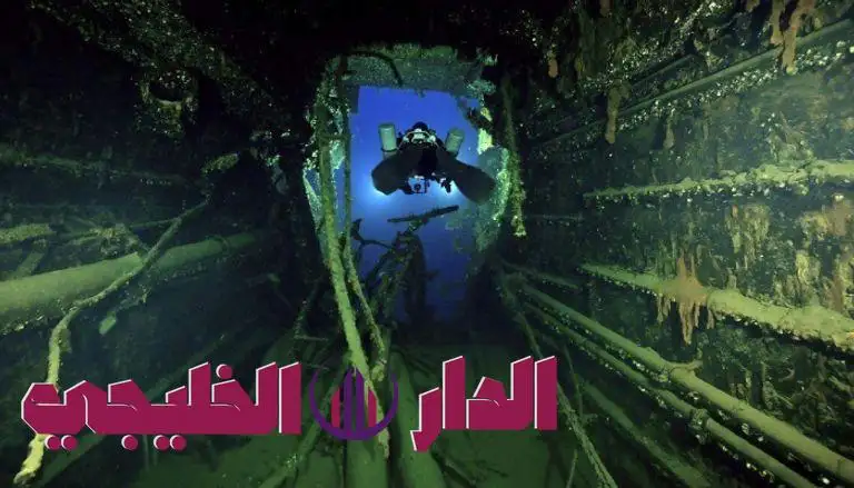     اكتشاف تاريخي.. انتشال كنوز نادرة من 