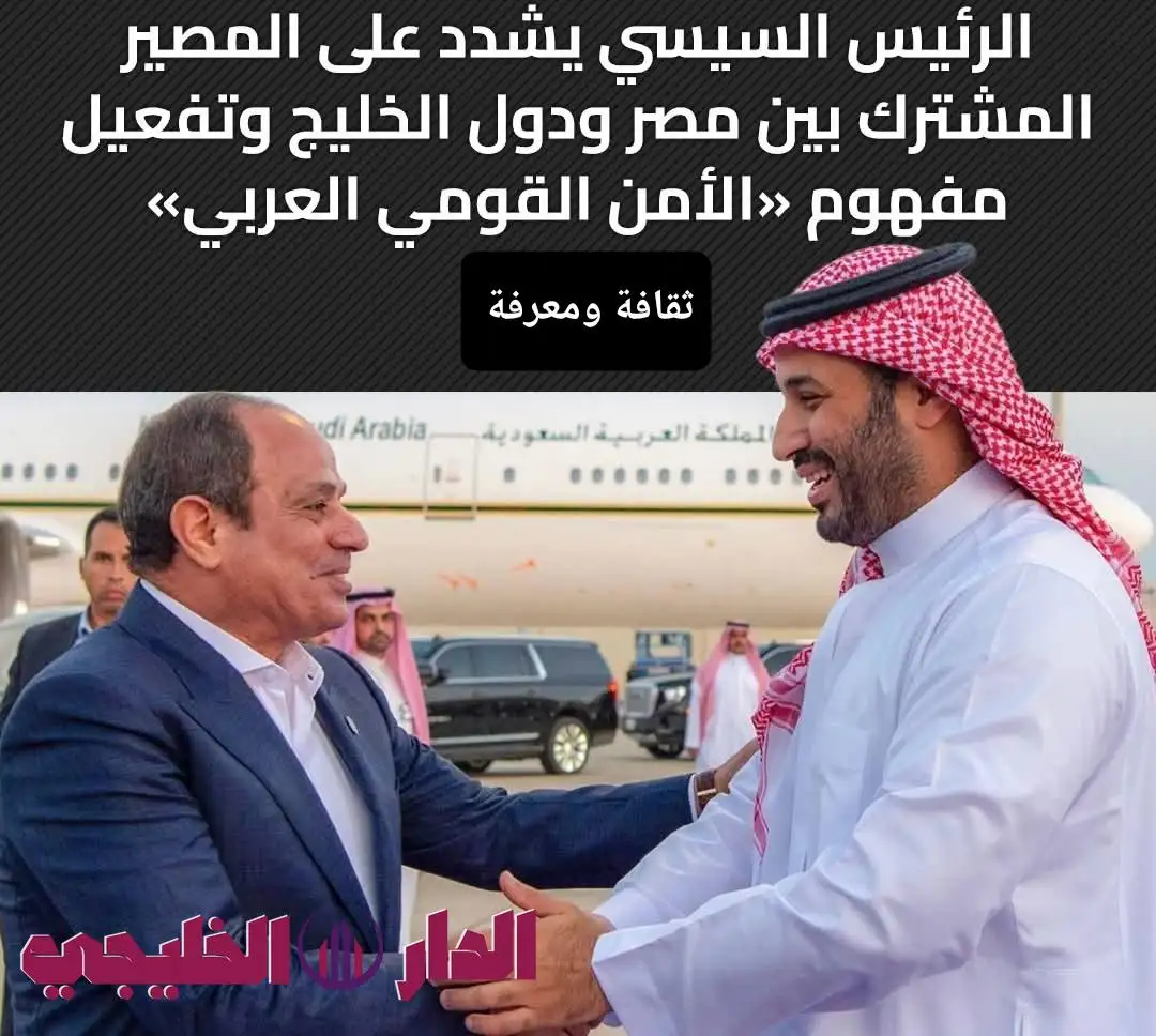   اتصال هاتفي بين ولي العهد السعودي والرئيس السيسي: يشدد على المصير المشترك بين مصر ودول الخليج ويفعّل وضعية «الأمن القومي العربي»    