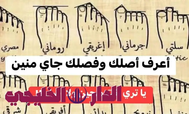     شجرة العائلة  