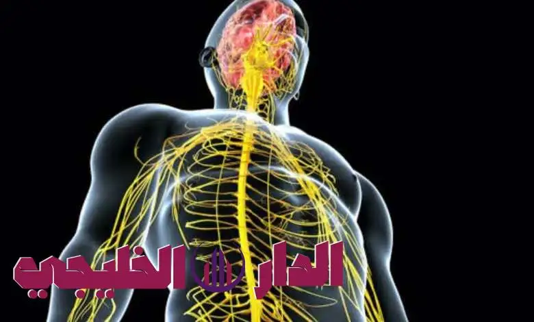     الأعصاب 