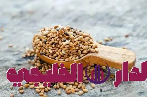     “وداعاً للعطش وجفاف الحلق في نهار رمضان”.. ملعقة واحدة من “هذا المسحوق السحري” في سحورك تجعل جسمك يخزن المياه لـ 16 ساعة.. “السر الذي أخفاه رحالة الصحراء لقرون” !! 