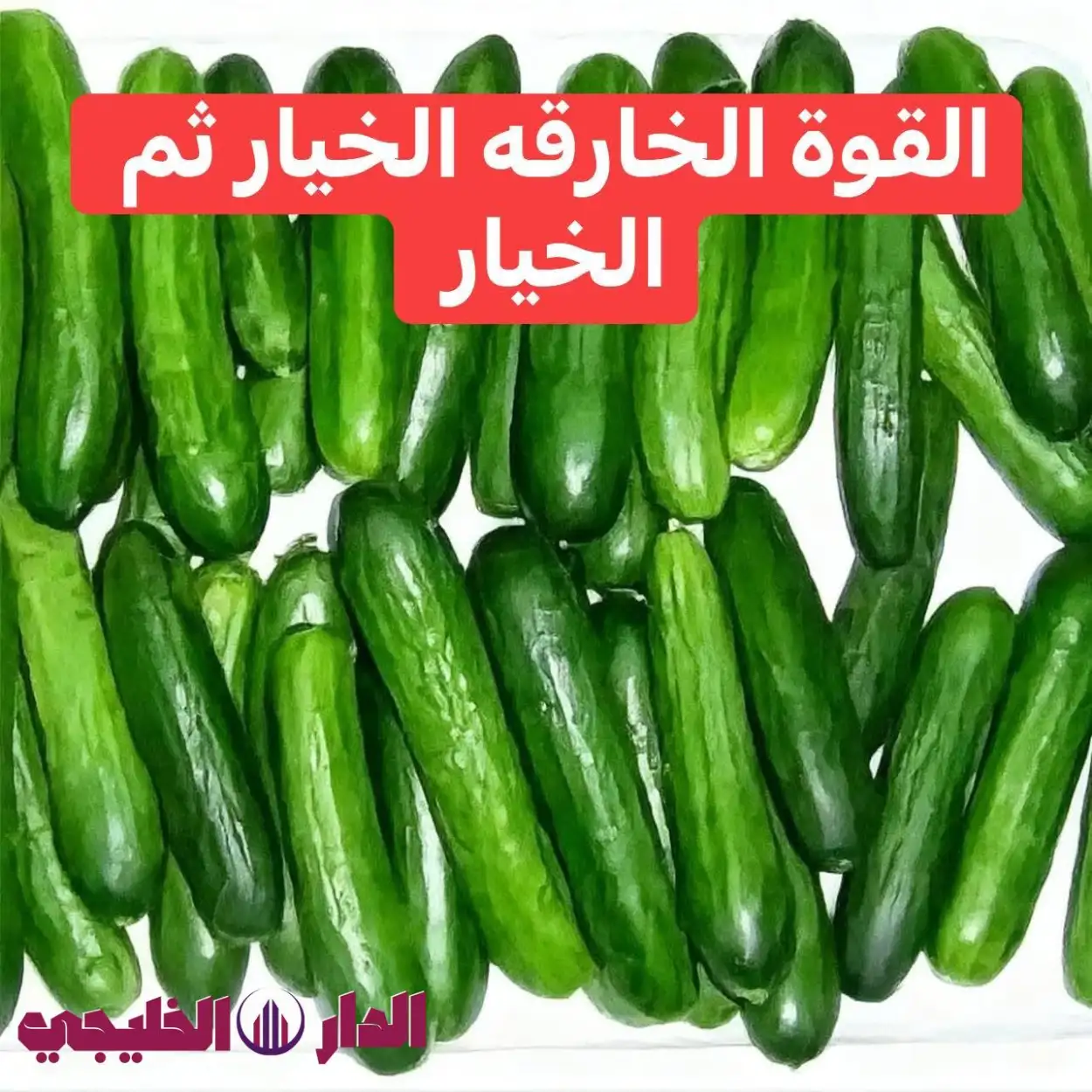     الخيار 