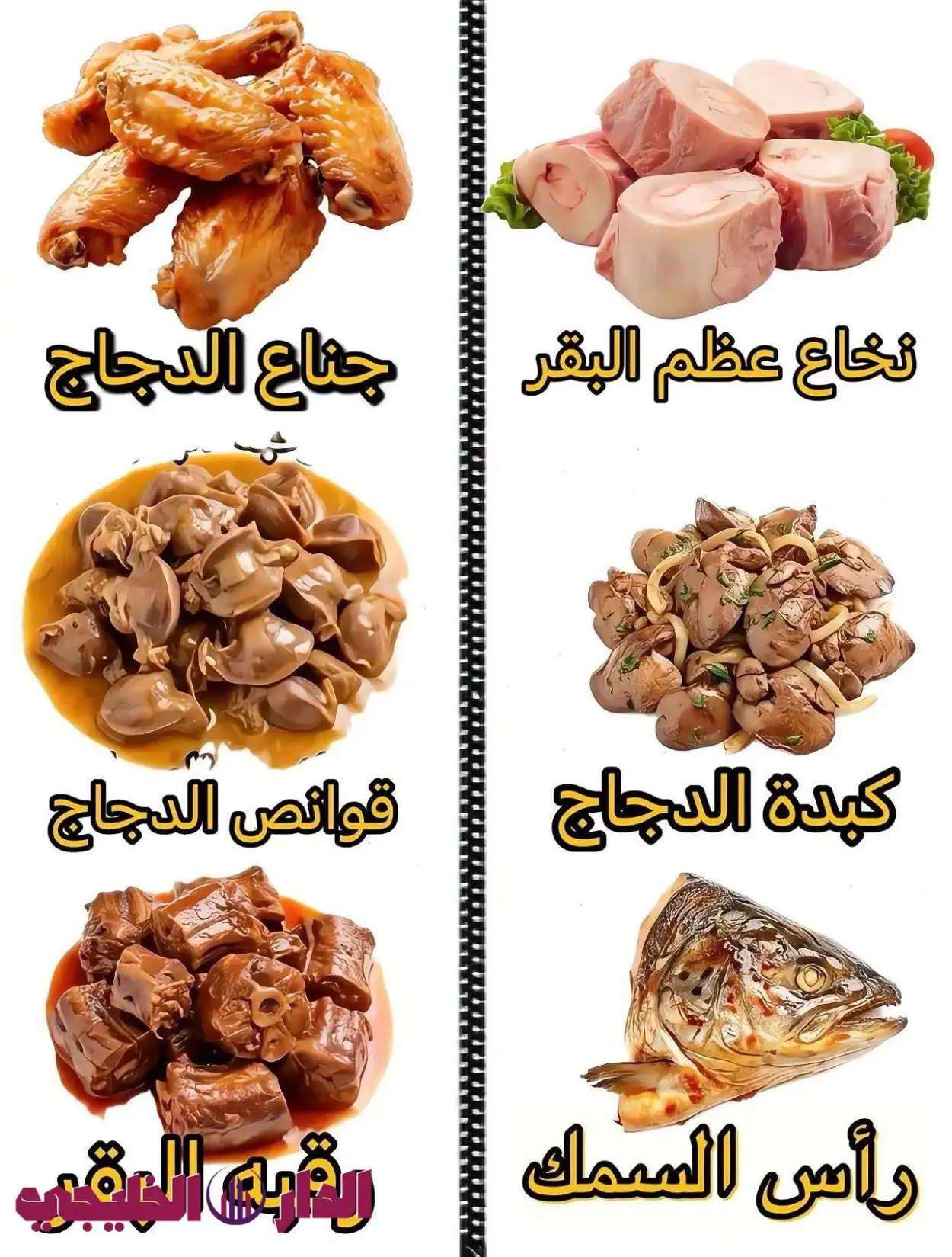    بروتين 